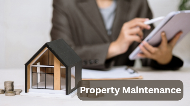 Property Maintenance