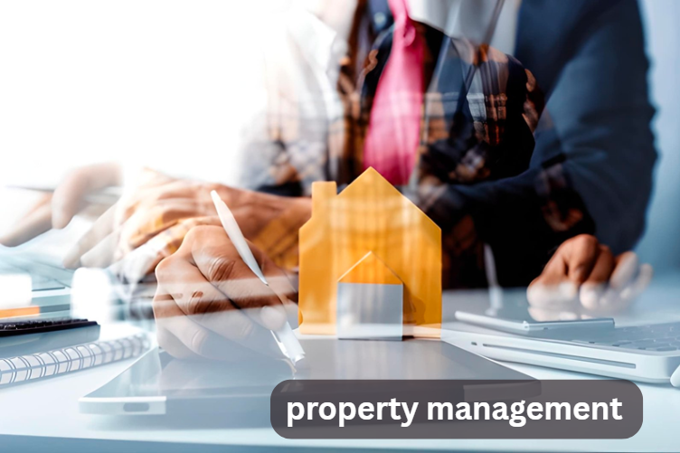 property management