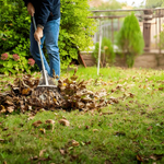 Which Professional Services Are Best for Fall Yard Clean-Up?