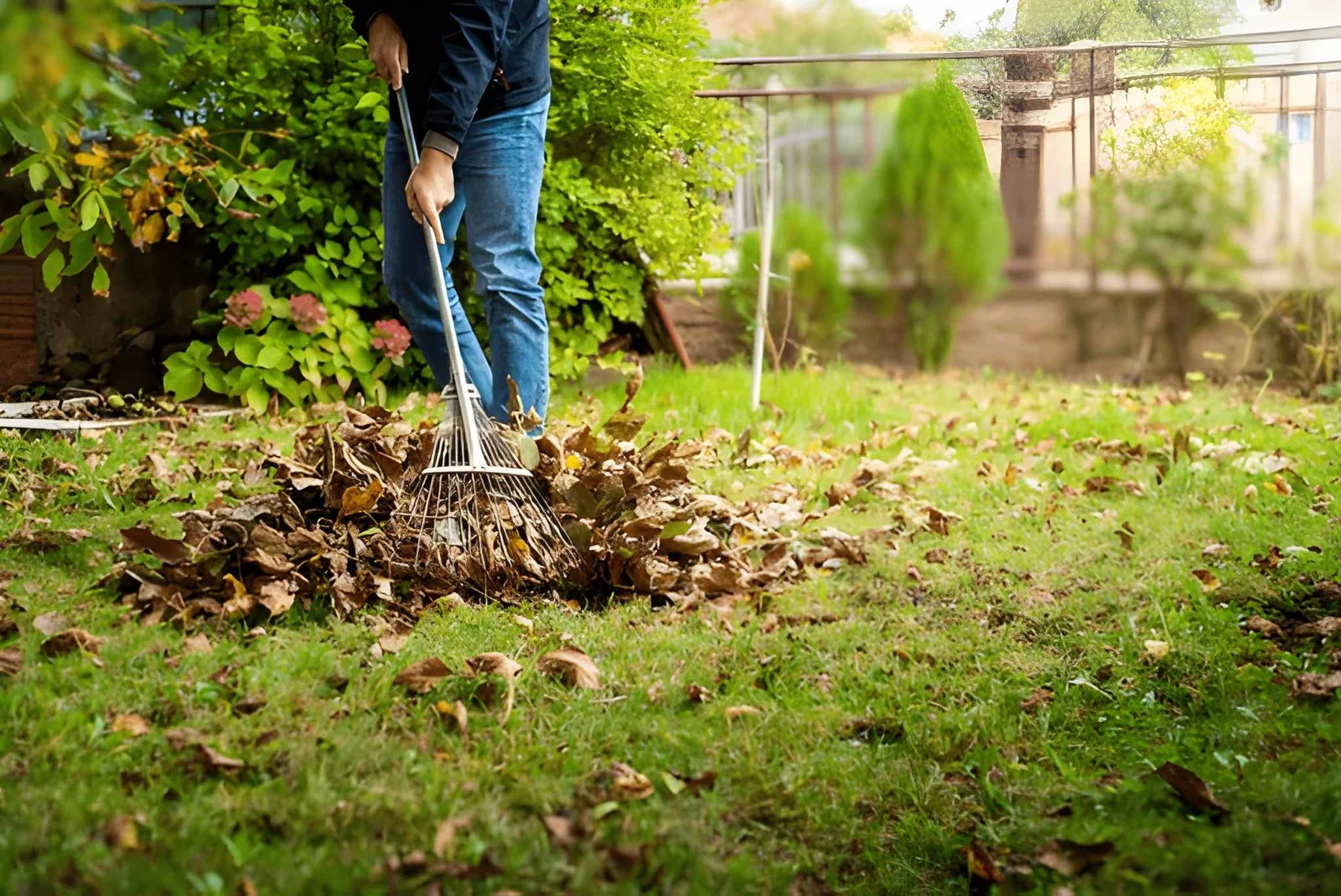 Which Professional Services Are Best for Fall Yard Clean-Up?