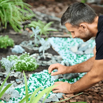 Which Is Better: Mulch or Gravel for Landscaping?
