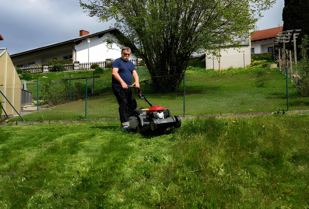Which Lawn Care Companies Offer the Best Property Maintenance Services?
