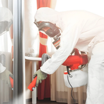 What Are the Best Pest Control Options for Property Care?